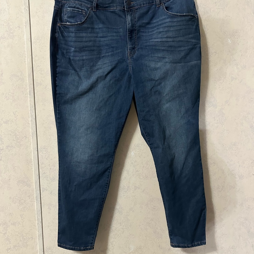SOLD Terra & Sky Women's Skinny Jeans - Deep Indigo